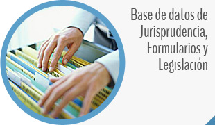 BBDD Jurisprudencia, formularios y legislación